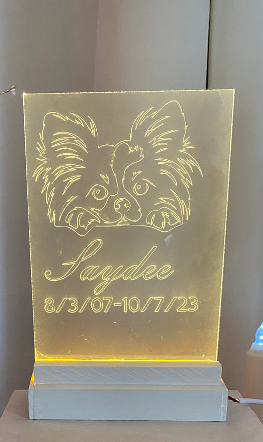 Custom pet night light
