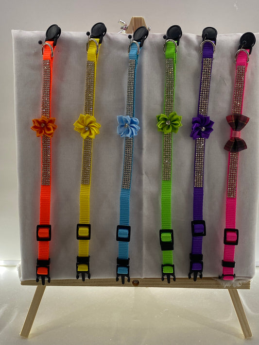 Nylon quick release dog collar
